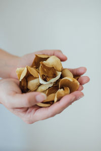 Close-up of person holding food against white background