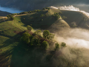 High angle view of trees on land against sky