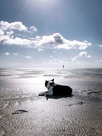 Sankt peter ording