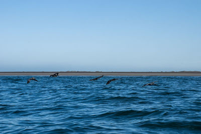 Scenic view of sea against clear sky