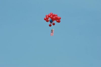 Low angle view of red balloons with malaysian flag flying against clear sky