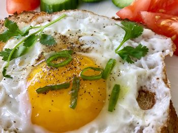 Close-up of food in plate