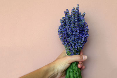 Midsection of person holding bouquet against purple wall