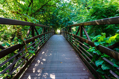 Footbridge amidst trees in forest