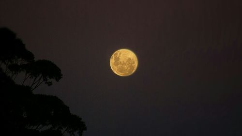 Low angle view of moon in sky