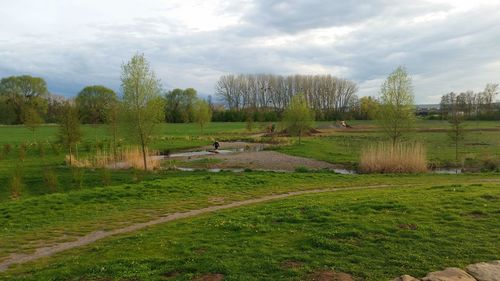 Scenic view of field against sky