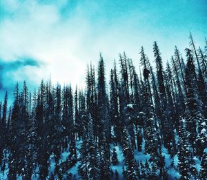 Scenic view of landscape against blue sky