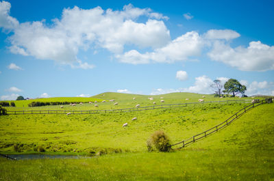 Scenic view of farm against sky