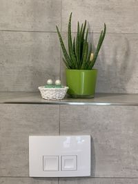 Close-up of potted plant on table against wall