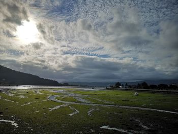 Scenic view of field against sky