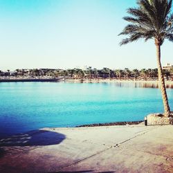 Scenic view of sea against clear sky
