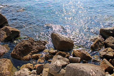 High angle view of rocks on beach