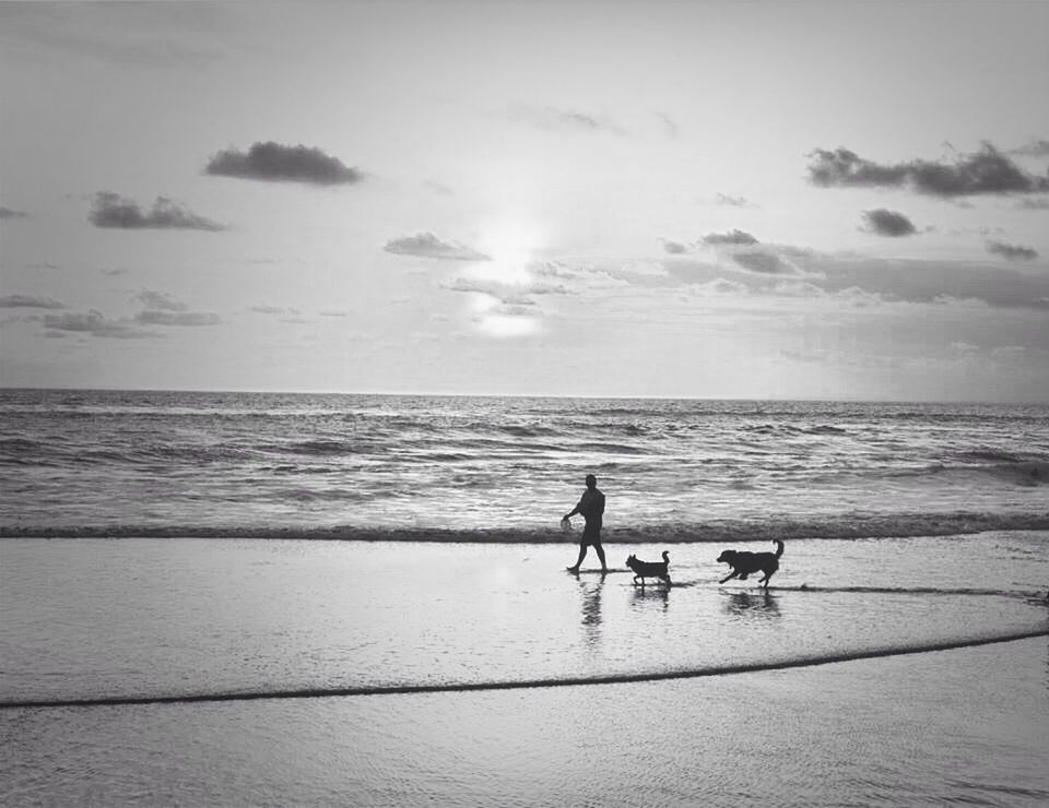 sea, horizon over water, water, beach, sky, leisure activity, lifestyles, shore, men, full length, tranquility, silhouette, scenics, tranquil scene, beauty in nature, nature, vacations