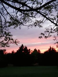 Silhouette trees against sky at sunset