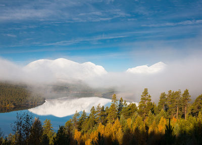 Blue sky with clouds, mountains covered in snow, a lake and treetops in green and yellow