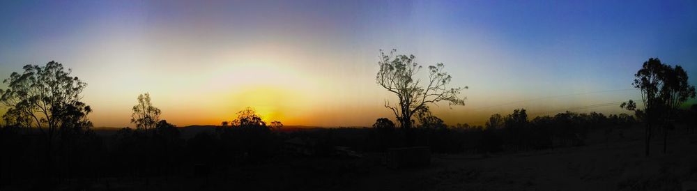 Silhouette trees against sky during sunset