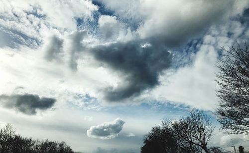 Low angle view of trees against sky