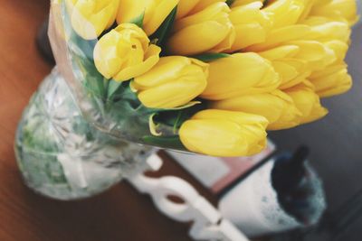 Close-up of yellow flowers