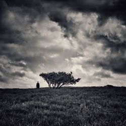 Silhouette tree on field against sky