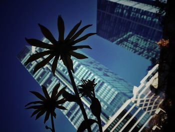 Low angle view of palm trees against sky