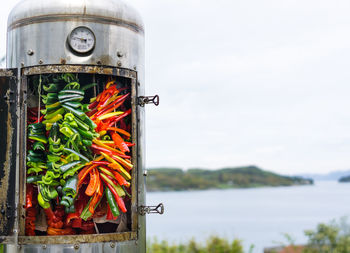 Close-up of food in lake against sky