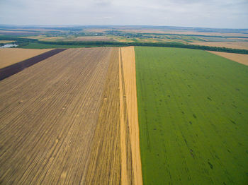 Scenic view of agricultural field