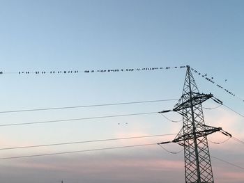 Low angle view of birds on electricity pylon against sky