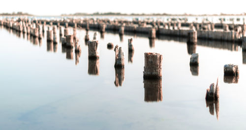 Wooden posts in sea