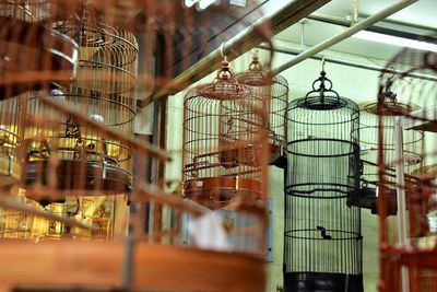 Low angle view of bird cages