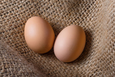 egg