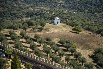 Scenic view of agricultural field