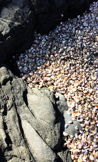 Close-up of pebbles on beach
