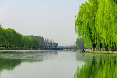 Scenic view of lake against clear sky