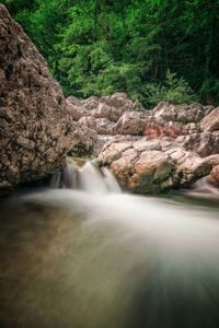 Stream flowing through rocks in forest
