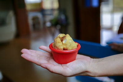 Close-up of person holding ice cream in bowl