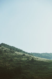 Scenic view of landscape against clear sky