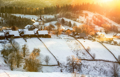 Trees on snow covered field by building during winter