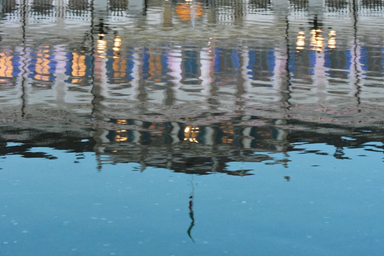 reflection, water, animals in the wild, waterfront, animal themes, swimming, animal wildlife, lake, one animal, no people, outdoors, bird, nature, day, puddle, reptile