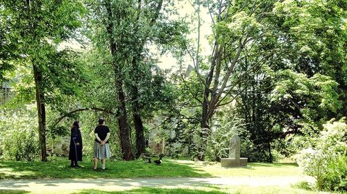 Footpath in park