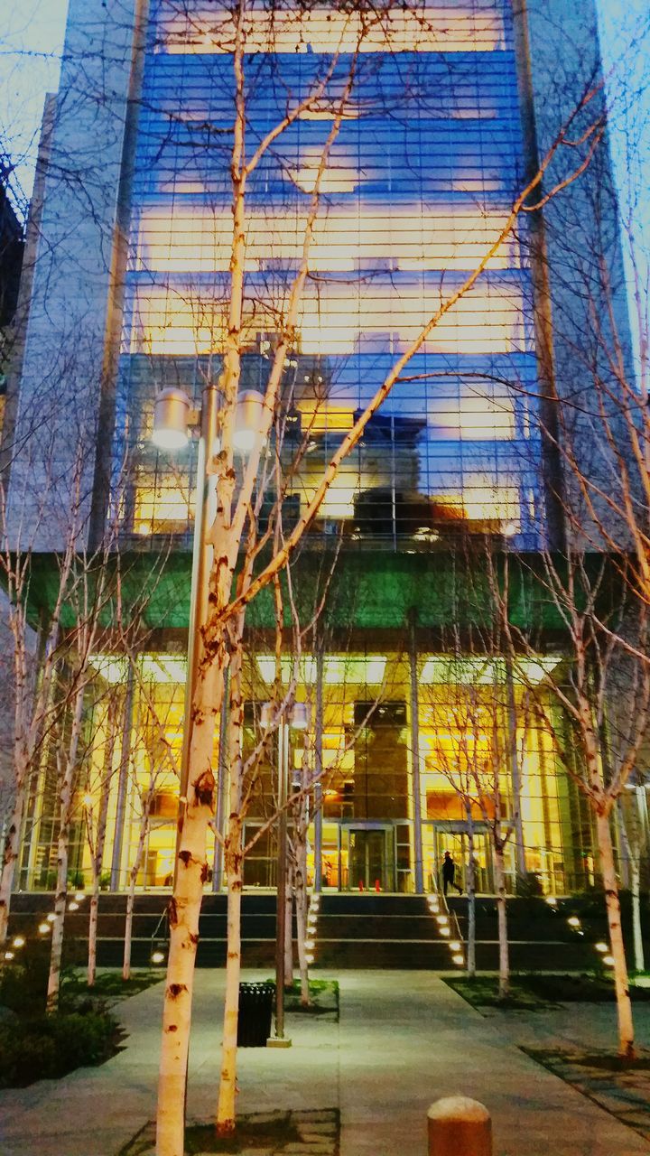 architecture, built structure, building exterior, city, glass - material, building, low angle view, residential building, window, modern, day, reflection, no people, residential structure, outdoors, plant, metal, office building, growth, sky