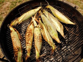 High angle view of fish on barbecue