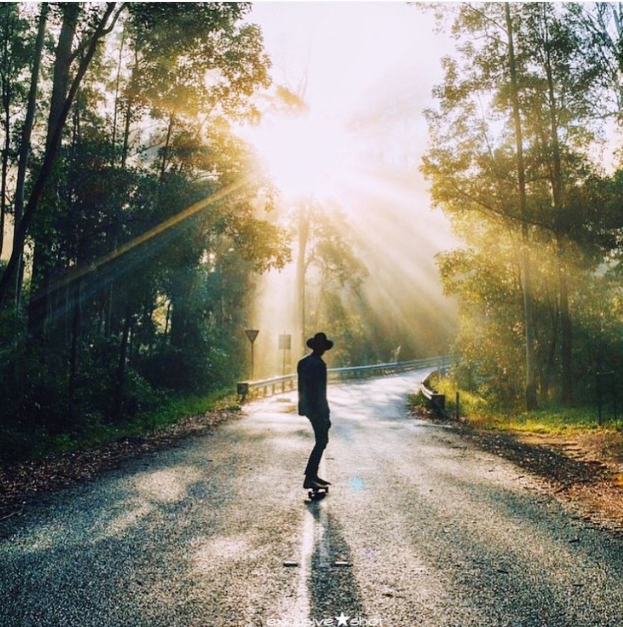 full length, the way forward, tree, road, transportation, rear view, walking, sunlight, street, lifestyles, sun, sunbeam, diminishing perspective, lens flare, leisure activity, vanishing point, day, shadow