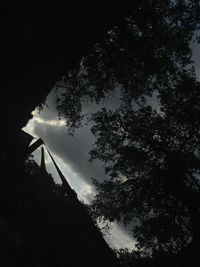 Low angle view of trees against sky