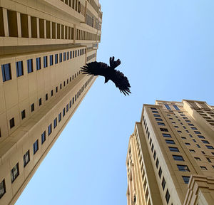 Low angle view of a building