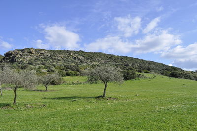 Scenic view of field and mountains against sky