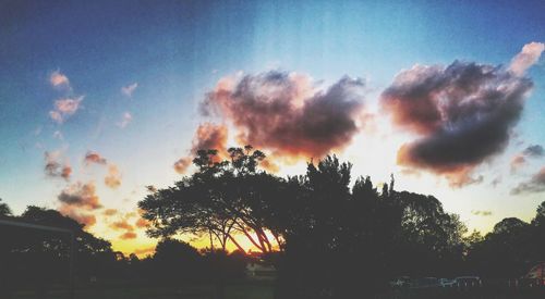 Low angle view of silhouette trees against sky during sunset