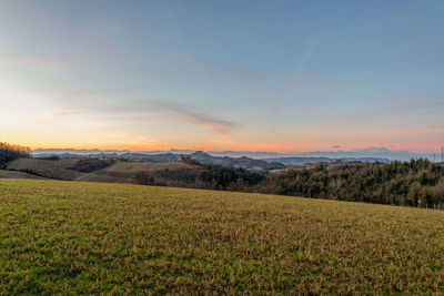 Scenic view of field against sky during sunset