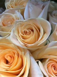 Close-up of rose bouquet