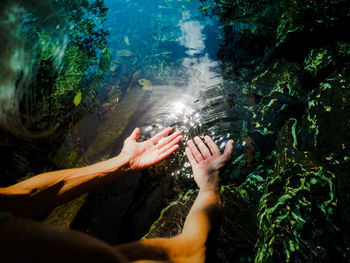 High angle view of person hand in sea