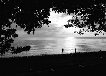 Silhouette trees on beach against sky